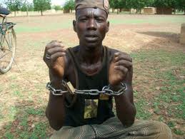 credit photo:uniterre.com